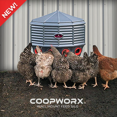 CoopWorx Wall Mount Feed Silo