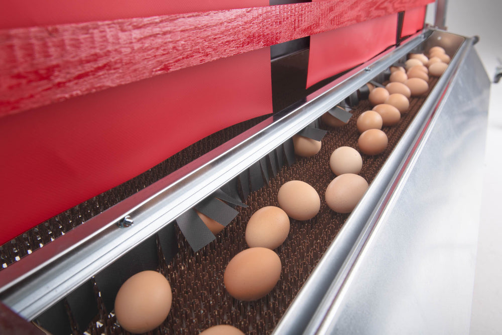 
                  
                    (New) Large (54") - Reversible Rollout Nest Box (Up to 52 Hens) - Premium Grade - Ready to Ship!
                  
                