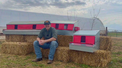 Small (24") Reversible Roll-out Nest Box (Up to 20 Hens)