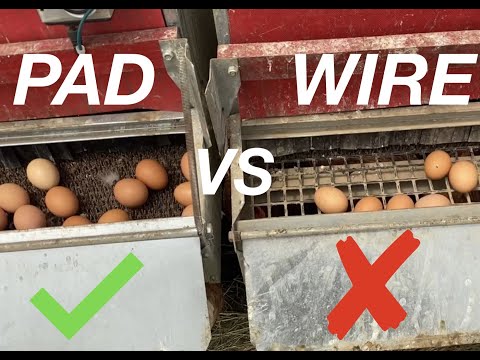 
                  
                    Load and play video in Gallery viewer, Medium (34&amp;quot;) Reversible Rollout Nest Box (Up to 32 Hens) - Premium Grade - Ready to Ship
                  
                