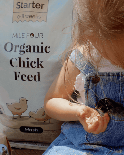 Starter Organic Chick Feed