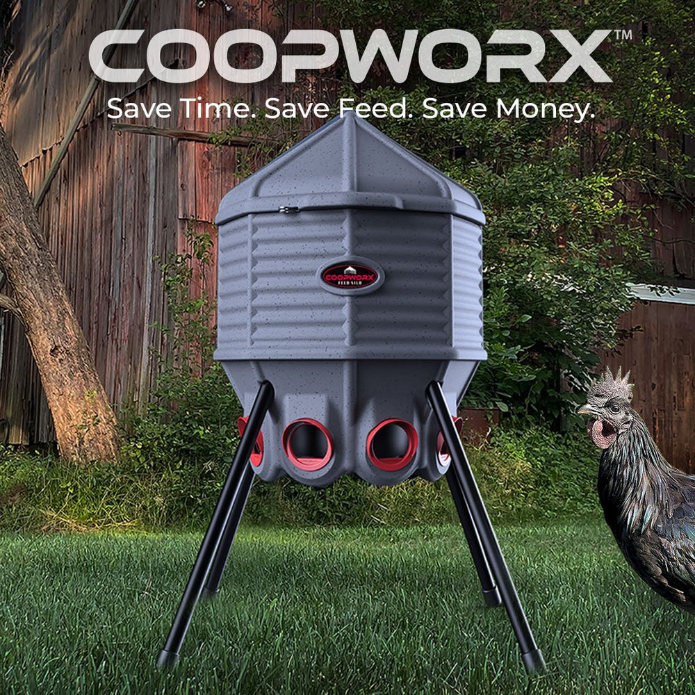 
                  
                    CoopWorx Chicken Feeder (80 lb. capacity)
                  
                