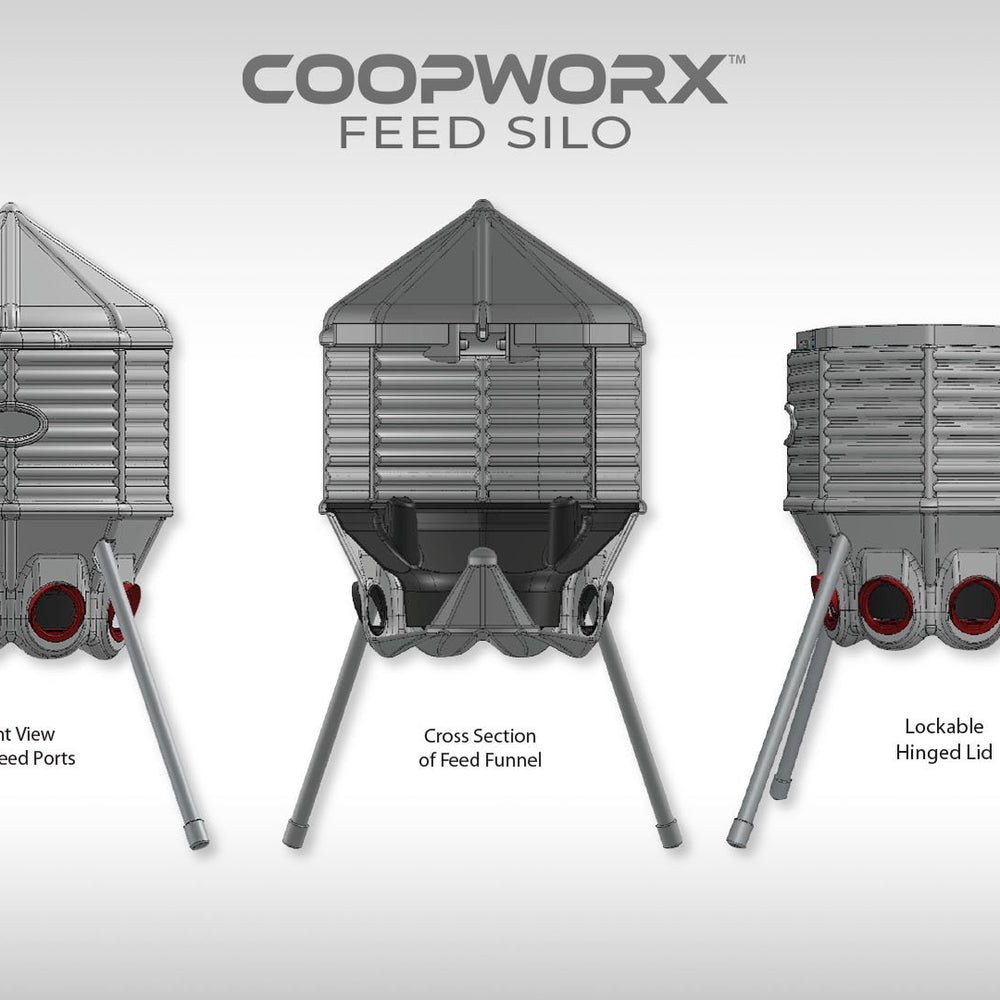 
                  
                    CoopWorx Chicken Feeder (80 lb. capacity)
                  
                