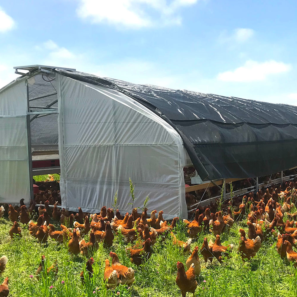 
                  
                    Portable Pasture Chicken Coop - 20'x48' (Up to 1,000 chickens)
                  
                