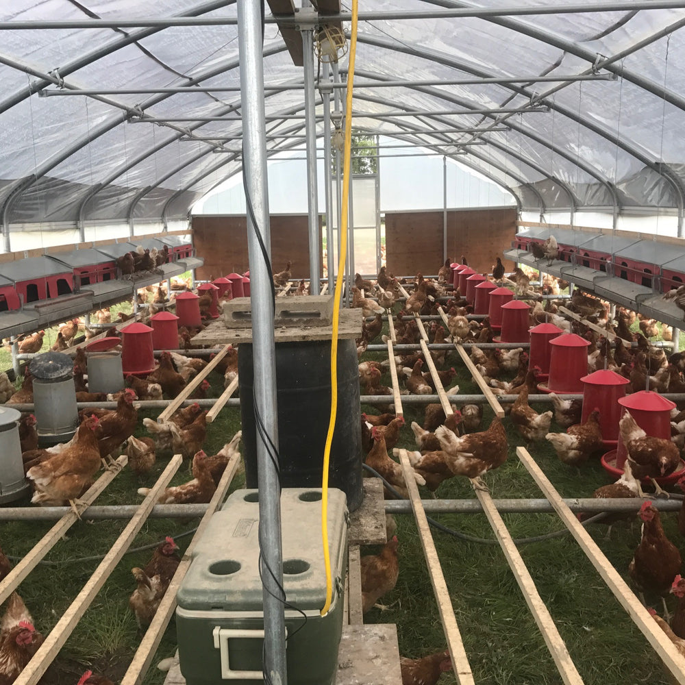 
                  
                    Portable Pasture Chicken Coop - 20'x48' (Up to 1,000 chickens)
                  
                