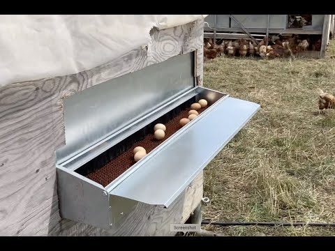 
                  
                    Load and play video in Gallery viewer, X-Large (72&amp;quot;) Reversible Rollout Nest Box (Up to 75 Hens) - Backordered (Expected to ship June - 30th)
                  
                